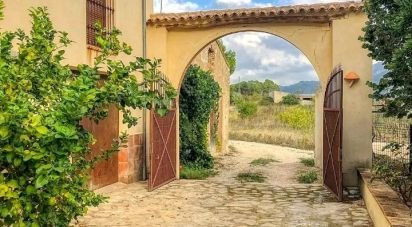 Local d'activités de 550 m² à Planes (03828)