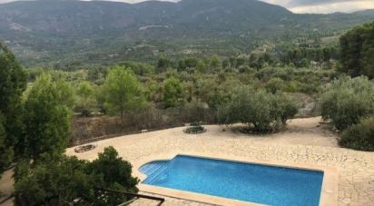 Local d'activités de 550 m² à Planes (03828)