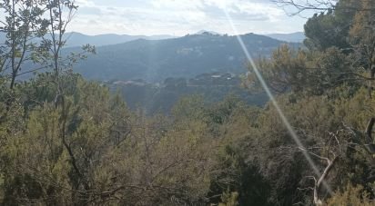 Terreny de 42.879 m² a Sant Cebrià de Vallalta (08396)