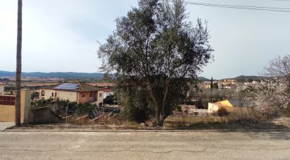 Terrain de 530 m² à La Bisbal del Penedès (43717)
