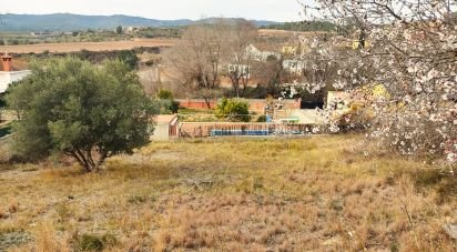 Terrain de 530 m² à La Bisbal del Penedès (43717)
