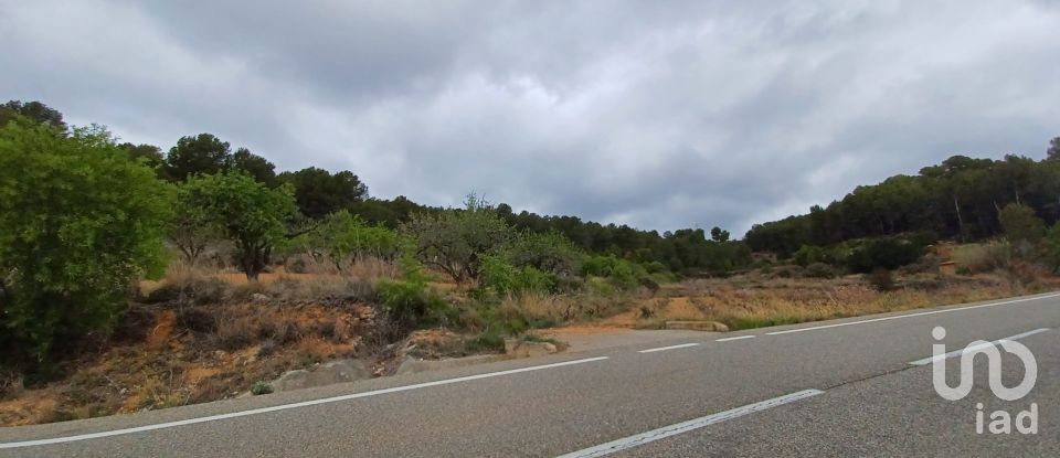 Tierra agrícola de 12.700 m² en La Bisbal del Penedès (43717)