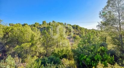 Terreno de 201.046 m² en L'Alcudia de Crespins (46690)