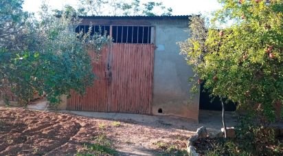 Terrain de 16 000 m² à Vilanova i la Geltrú (08800)