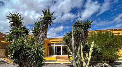 Casa rural 6 habitaciones de 548 m² en San Isidro de Abona (38611)