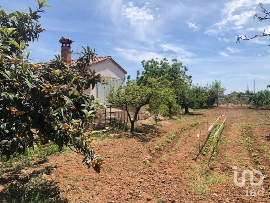 Terreny agrícola de 12.000 m² a Riudoms (43330)