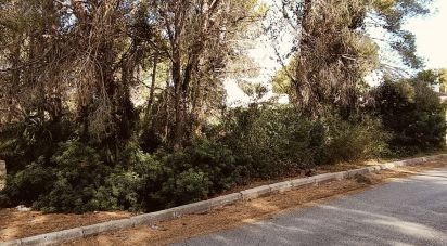 Terrain de 576 m² à L'Ametlla de Mar (43860)