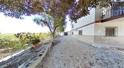 Maison 5 chambres de 265 m² à Crevillent (03330)