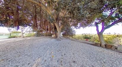 Casa 5 habitacions de 265 m² a Crevillent (03330)