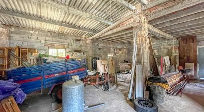 Boutique/Local commercial de 208 m² à Nucleo Beniali (03788)