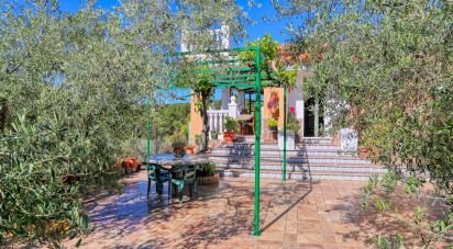 Casa 3 habitaciones de 205 m² en L'Alcora (12110)