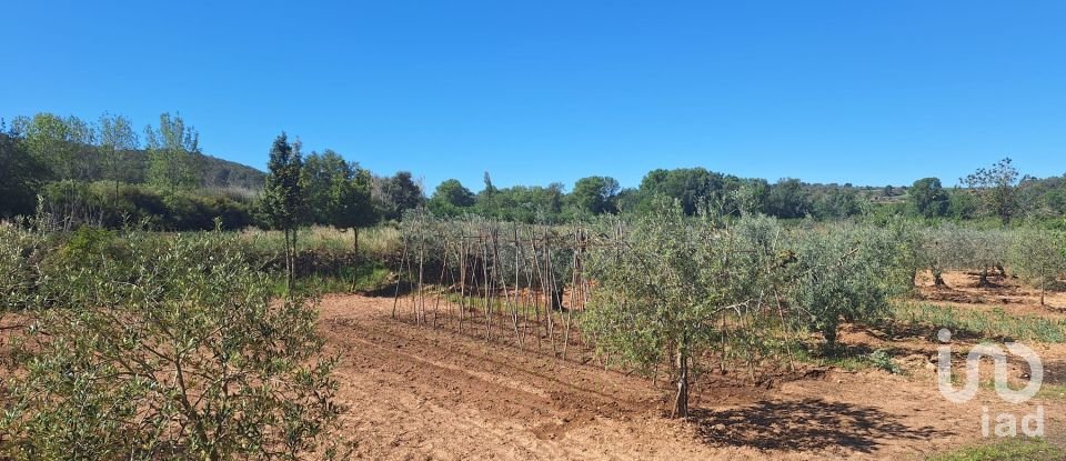 Tierra agrícola de 3.500 m² en Montferri (43812)