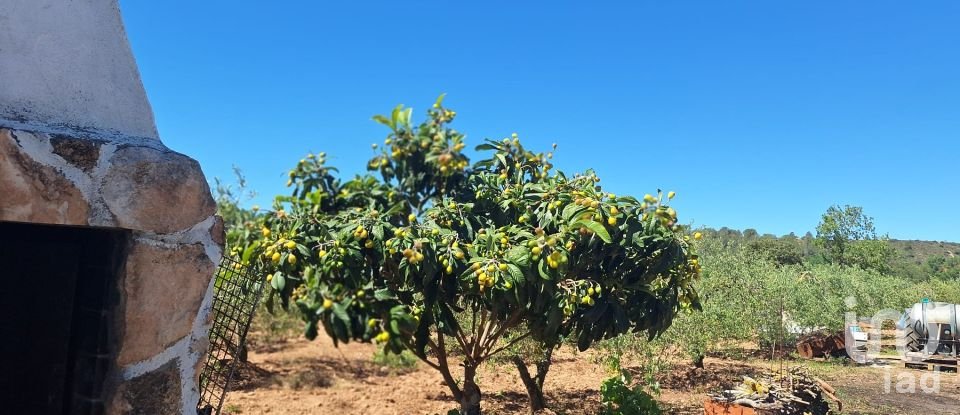 Tierra agrícola de 3.500 m² en Montferri (43812)