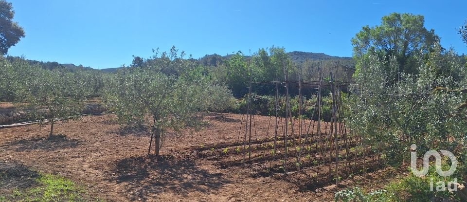 Tierra agrícola de 3.500 m² en Montferri (43812)