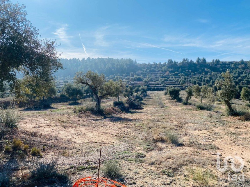 Terreno de 6 m² en L'Albages (25155)