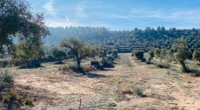 Terrain de 6 m² à L'Albages (25155)