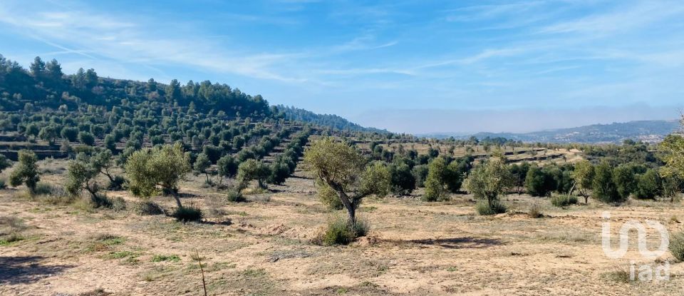 Terreno de 6 m² en L'Albages (25155)