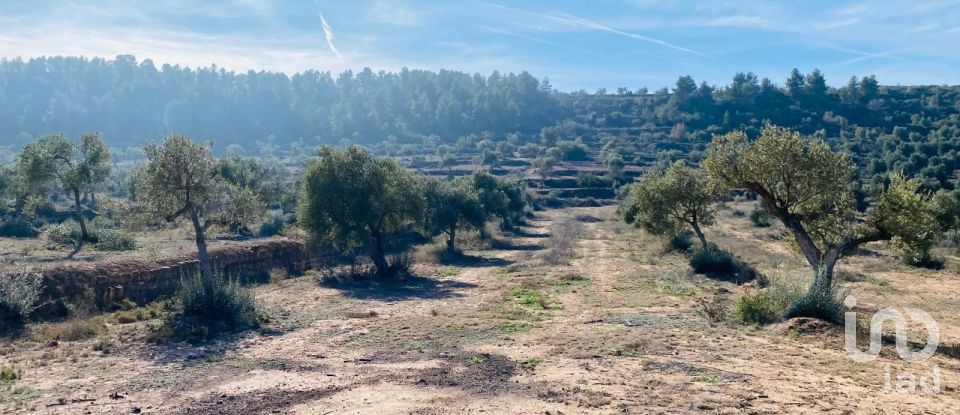 Terreno de 6 m² en L'Albages (25155)