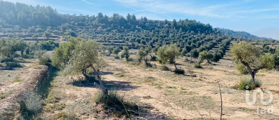 Terreno de 6 m² en L'Albages (25155)