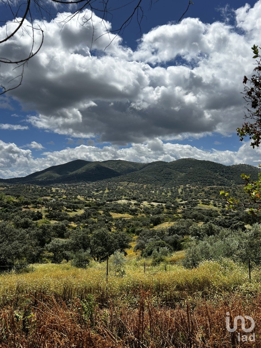 Terreno de 10.000.000 m² en Hornachuelos (14740)