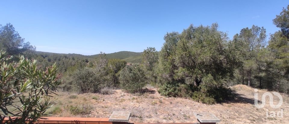 Terrain de 527 m² à La Bisbal del Penedès (43717)