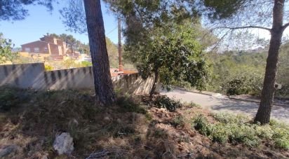 Terrain de 643 m² à La Bisbal del Penedès (43717)