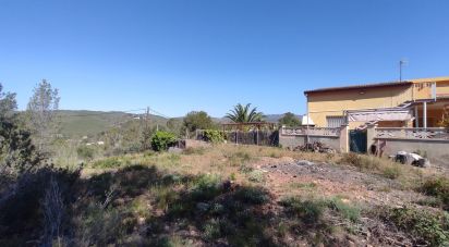 Terrain de 643 m² à La Bisbal del Penedès (43717)