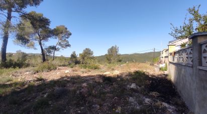 Terrain de 643 m² à La Bisbal del Penedès (43717)