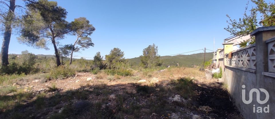 Terrain de 643 m² à La Bisbal del Penedès (43717)