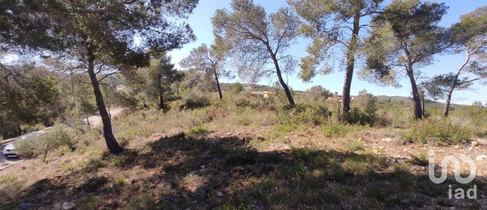 Terrain de 643 m² à La Bisbal del Penedès (43717)