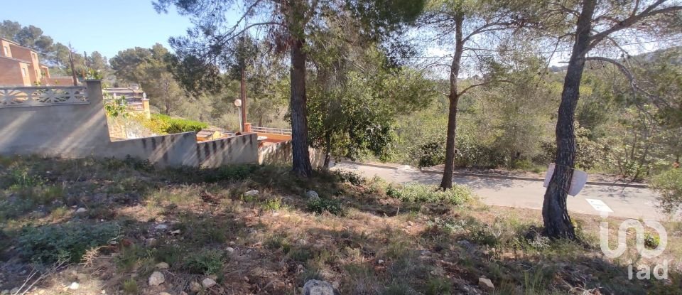 Terreno de 643 m² en La Bisbal del Penedès (43717)