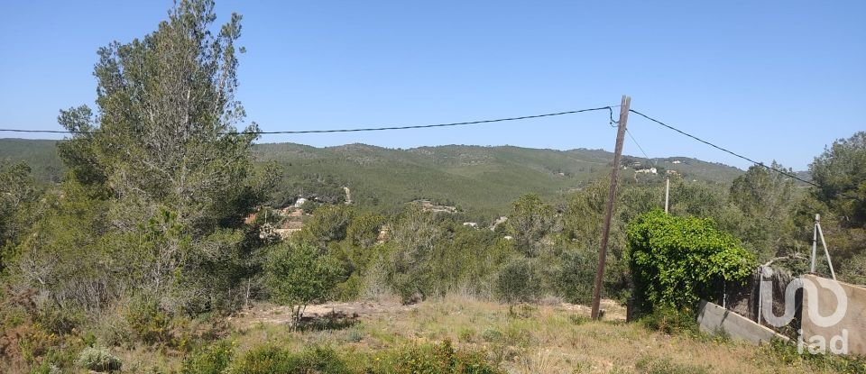 Terreno de 643 m² en La Bisbal del Penedès (43717)