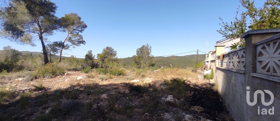 Terrain de 643 m² à La Bisbal del Penedès (43717)