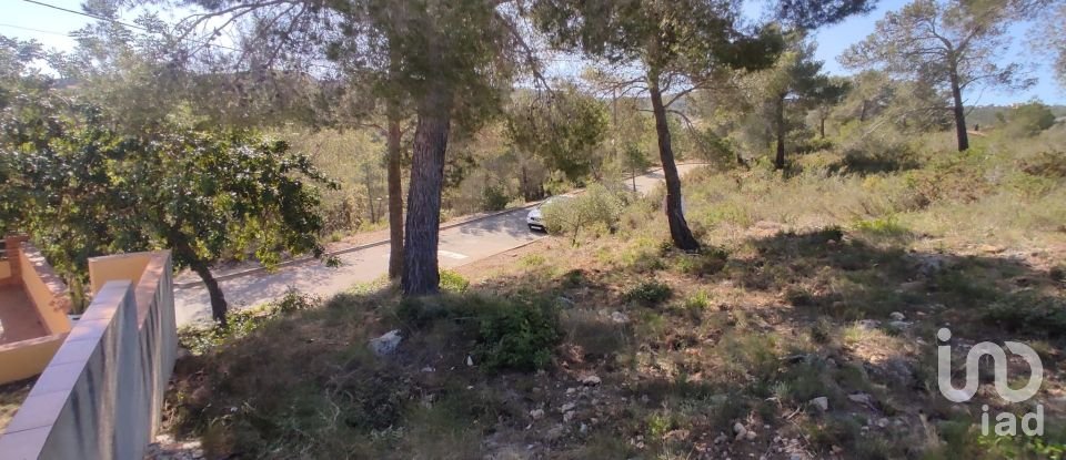 Terrain de 643 m² à La Bisbal del Penedès (43717)