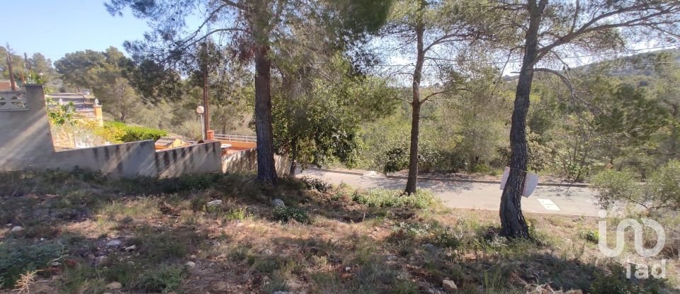 Terrain de 643 m² à La Bisbal del Penedès (43717)