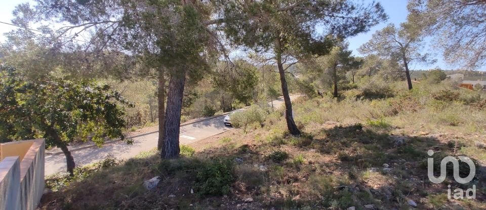 Terrain de 643 m² à La Bisbal del Penedès (43717)