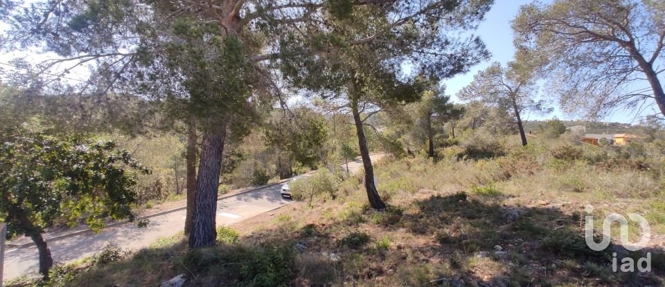 Terrain de 643 m² à La Bisbal del Penedès (43717)