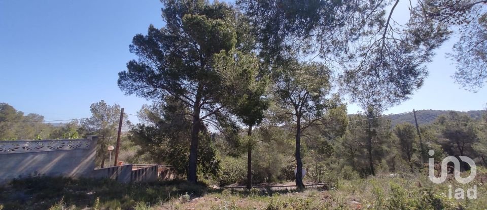 Terra de 643 m² a La Bisbal del Penedès (43717)