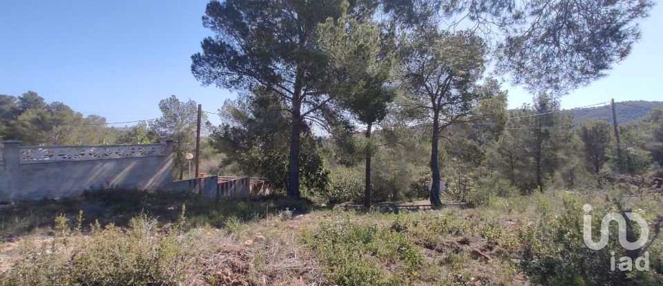 Terreno de 643 m² en La Bisbal del Penedès (43717)