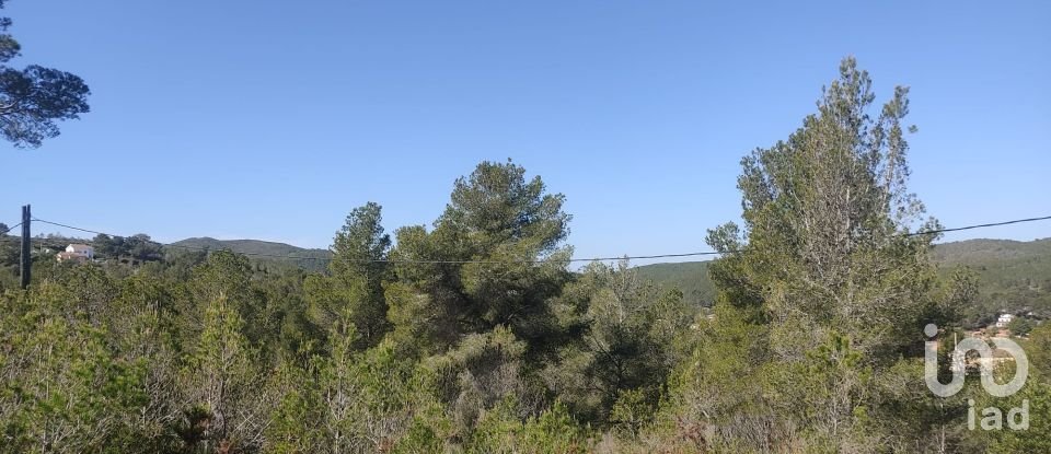 Land of 643 m² in La Bisbal del Penedès (43717)