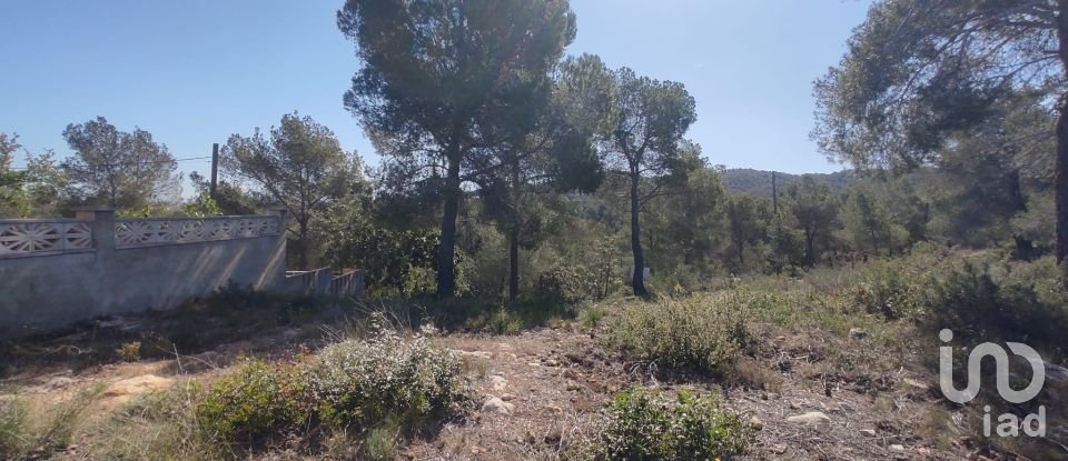 Terra de 643 m² a La Bisbal del Penedès (43717)