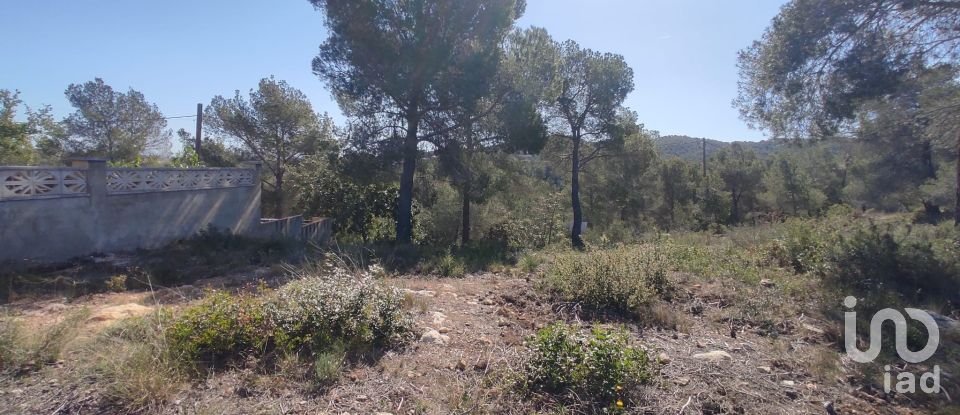 Terrain de 643 m² à La Bisbal del Penedès (43717)