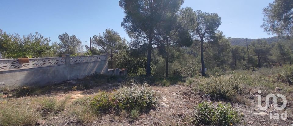 Terrain de 643 m² à La Bisbal del Penedès (43717)