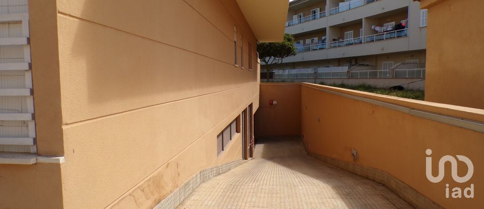 Appartement 3 chambres de 116 m² à Port d'Alcúdia (07400)