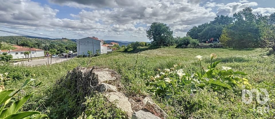 Land of 6,400 m² in Villamiel (10893)