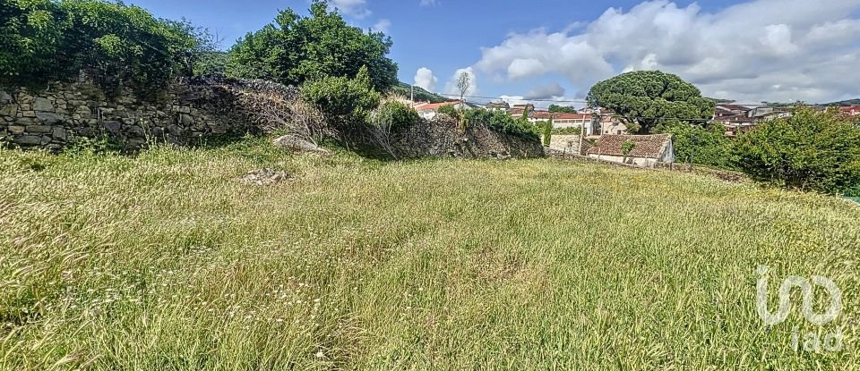 Land of 6,400 m² in Villamiel (10893)