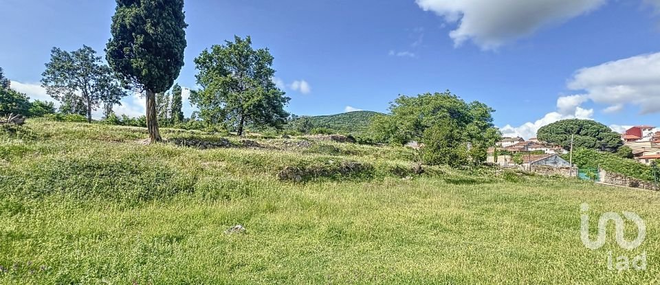 Land of 6,400 m² in Villamiel (10893)