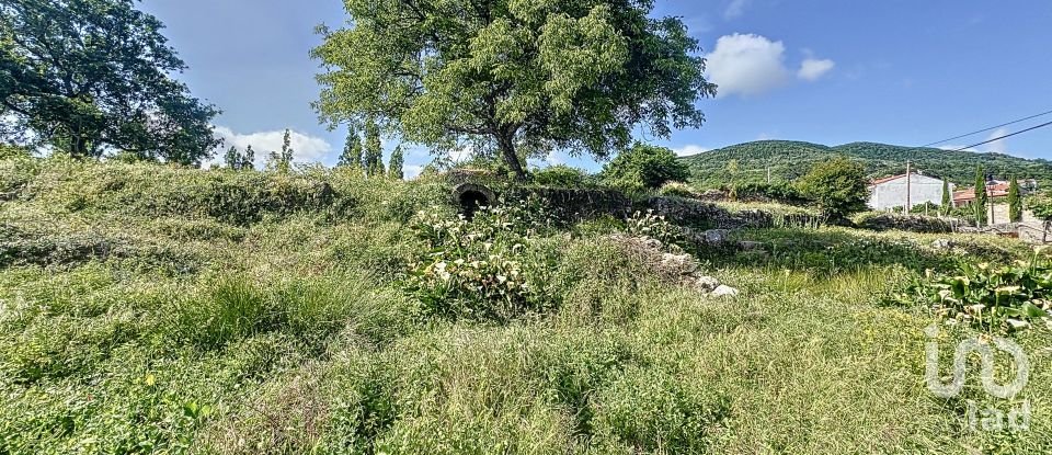 Terrain de 6 400 m² à Villamiel (10893)