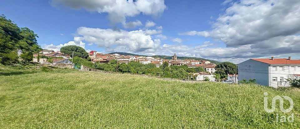 Terra de 6.400 m² a Villamiel (10893)