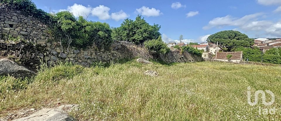 Land of 6,400 m² in Villamiel (10893)